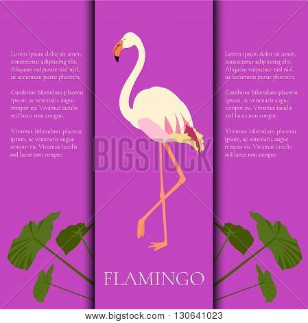 Vector white flamingo design template with place for text. Flamingo poster. Exotic bird made in flat style. Flat flamingo bird symbol. Flamingo icon. Flamingo silhouette isolated on purple background.