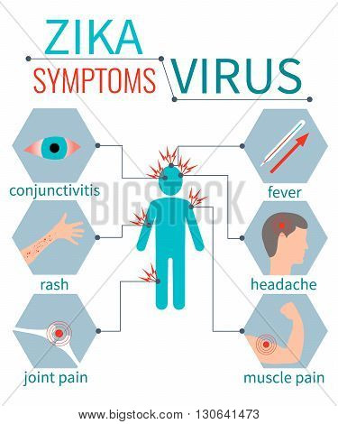 Zika virus symptom icons - fever, headache, muscle pain, joint pain, red eyes, rash. Zika virus infographic elements. Zika virus disease. Zika virus design template. Isolated vector illustration.