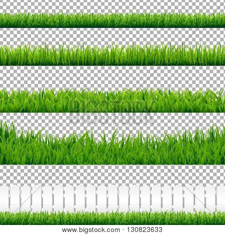 Realistic Green Grass Borders, Isolated on Transparent Background, Vector Illustration