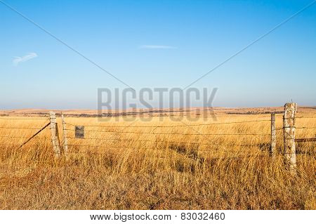 Prairie Blessing