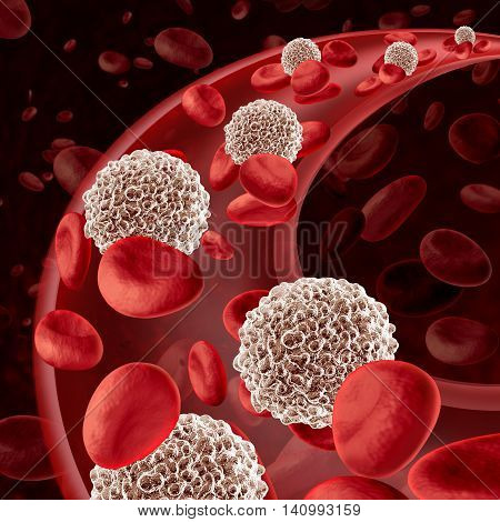 White blood cell circulation flowing through as a microbiology defense symbol of the human immune system fighting off infections defending and protecting the human body from infectious disease as a 3D illustration.