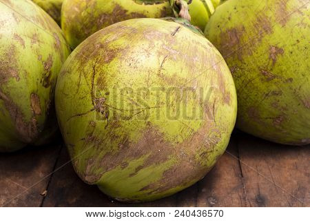 Tropical Fruit On Market - Whole Green Coconut. Coconut Peel Texture. Coco Palm Fruit Closeup Photo.