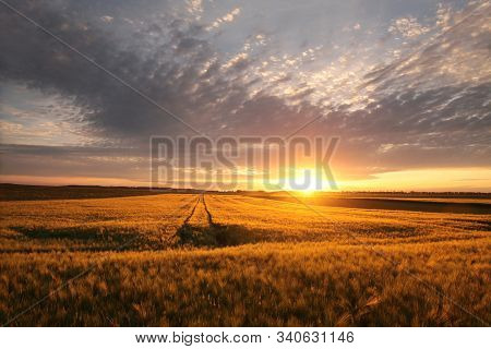 Spring sunrise field landscape Nature sun landscape sunset Nature background Nature background Nature landscape Nature landscape Nature landscape Nature background landscape Nature background Nature landscape Nature countryside landscape Nature background