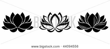 Lotus Blumen Silhouetten. Satz von drei Vektorzeichnungen.