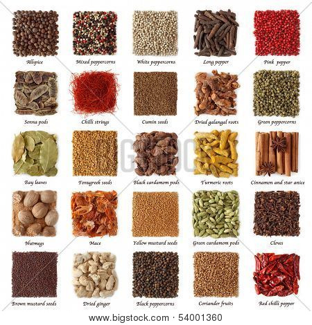 Indian spices collection with titles isolated on white background