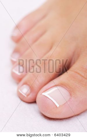 Well-groomed Female Foot With A French Pedicure