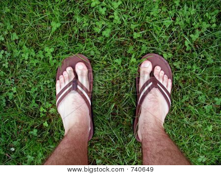 Feet In Grass