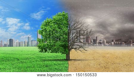 The concept of climate has changed. Half alive and half dead tree standing at the crossroads of climate change on city background. Save the environment.