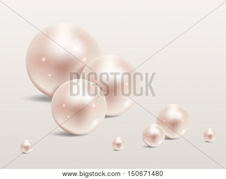 Pearl realistic set isolated on white background.Precious pearl in sphere form. Pearl is luxury glossy stone vector illustration