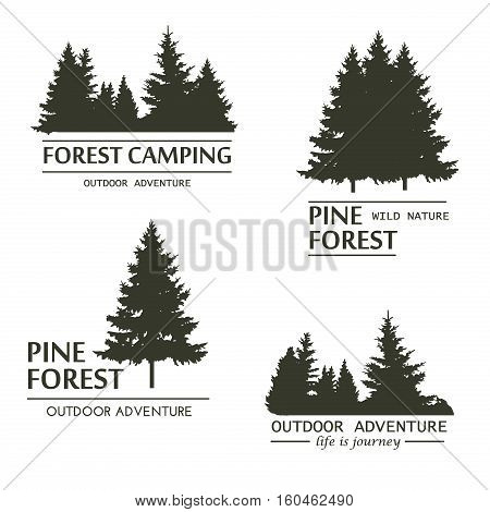 Fir trees silhouette logo. Pine plant wood branch natural forest silhouette. Trunk environment deciduous pine trees silhouette vector. Forest logo growth seasonal. Vintage forest design template.