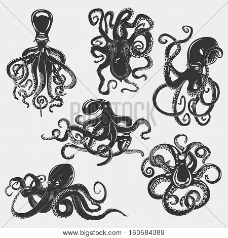 Suction cups on octopus tentacle. Cephalopod swimming set and underwater mollusk, isolated ocean octopus monster, cuttlefish animal. For mascot or tattoo of octopus, aquarium zoology logo