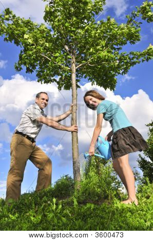 Plantation d'un arbre