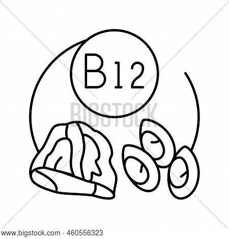 B12 Vitamin Line Icon Vector. B12 Vitamin Sign. Isolated Contour Symbol Black Illustration