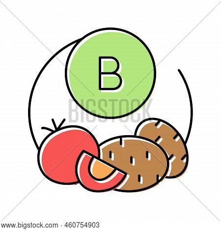 B Vegetable Vitamin Color Icon Vector. B Vegetable Vitamin Sign. Isolated Symbol Illustration