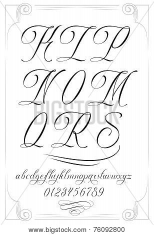 Handmade vector calligraphy