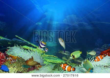 Fish in the sea