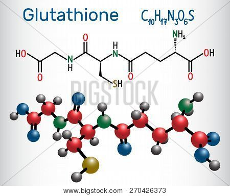 Glutathione (gsh) Molecule, Is An Important Antioxidant In Plants, Animals And Some Bacteria. Struct