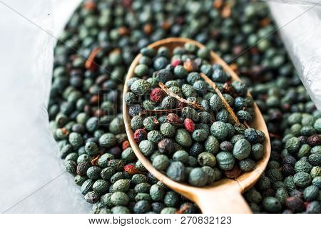 Citlembik / Northern Hackberry Seeds / Terebinth Berry / Celtis Occidentalis