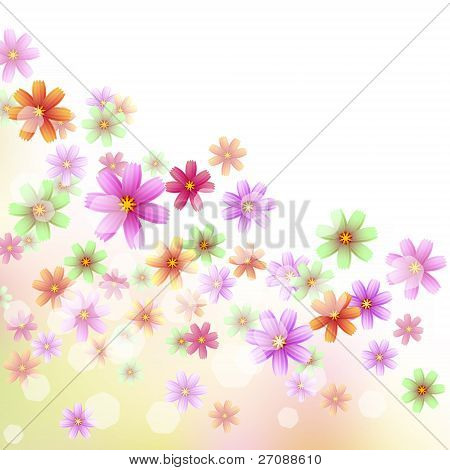 Floral Border Wallpaper