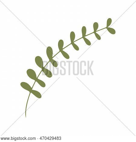 Green Twig In Style Of Doodles On White