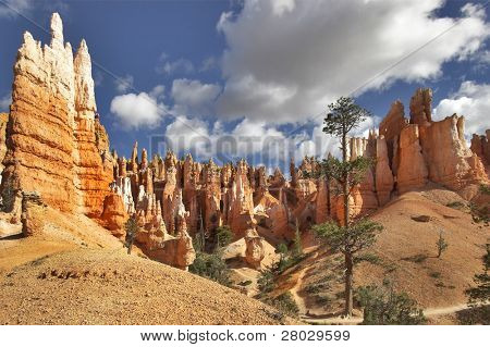 The well-known orange rocks in Bryce canyon in state of Utah USA