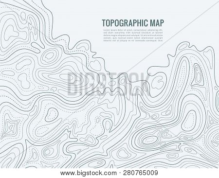 Contour Line Map. Elevation Contouring Outline Cartography Texture. Topographical Relief Map Vector 