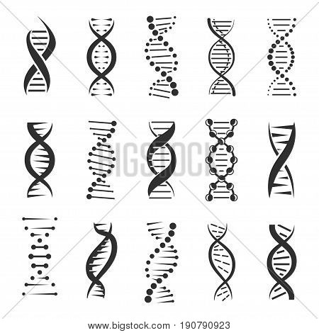 DNA helix, a genetic sign vector icons on a white background. Design elements for modern medicine, biology and science. Dark symbols of double human chain DNA molecule.