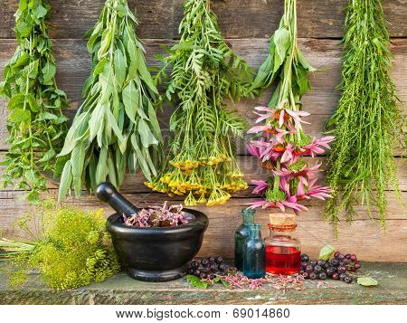 Bunches Of Healing Herbs On Wooden Wall, Mortar With Dried Plants And Bottles