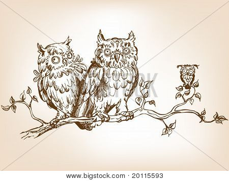 Funny Owls