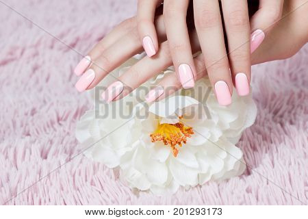 Well-groomed nails nail nail art design. pink and white colors of nail art. Nail polish. Beauty hands. Fashion Stylish Fashion Colorful Nails