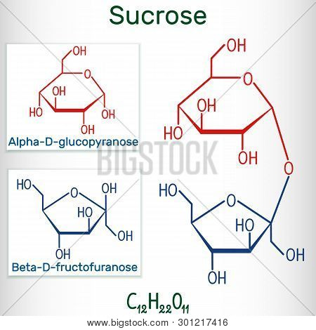 Sucrose Sugar Molecule. Structural Chemical Formula And Molecule Model. Vector Illustration