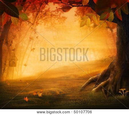 Autumn Design - Forest In Fall