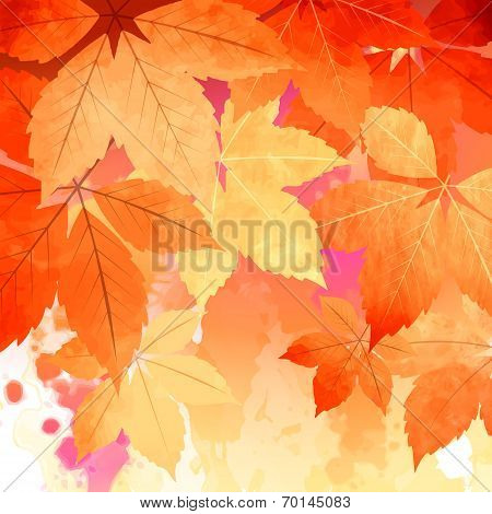 Autumn Vector Watercolor Fall Leaves