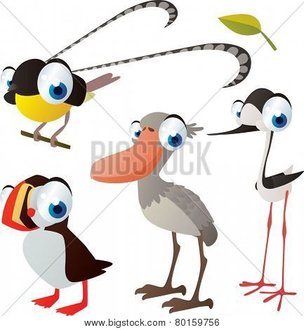 vector isolated cartoon cute animals set: birds: bird of paradise, spoonbill, puffin, stilt