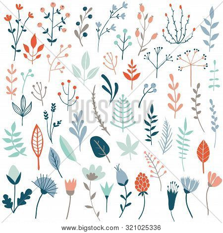 Big Vector Set Of Floral Elements With Hand Drawn Flowers And Leaves. Flower Graphic Design. Herbs A