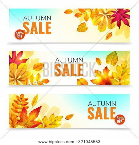 Banners With Fall Leaves. Autumn Season Discount Offers With Red And Orange Realistic Foliage. Color