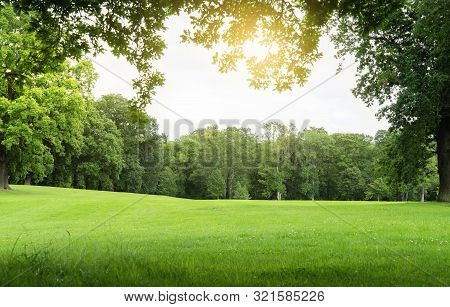 Fresh Air And Beautiful Natural Landscape Of Meadow With Green Tree  In The Sunny Day For Summer Bac