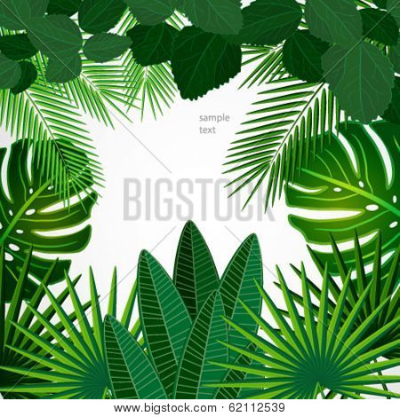 Tropical leaves. Floral design background.