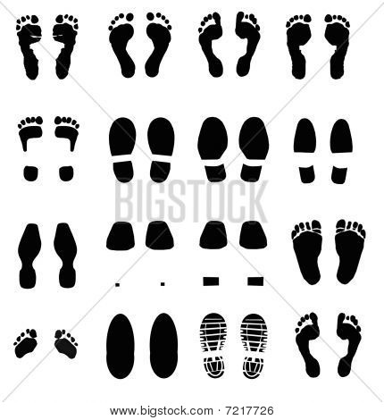 various shoe prints, fingerprints, footprints