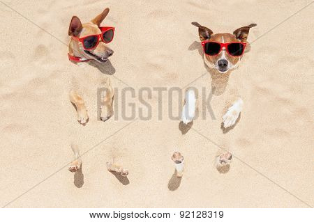 Couple Of Dogs Buried In Sand