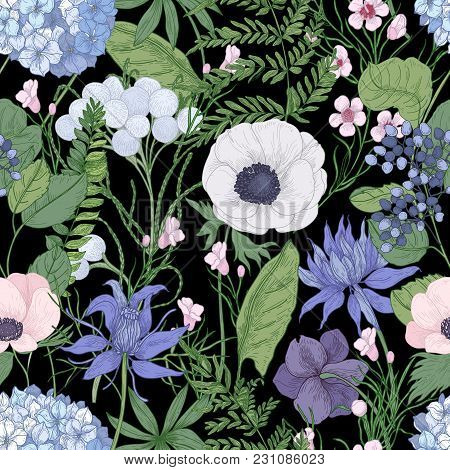 Botanical Seamless Pattern With Beautiful Wild Blooming Flowers Hand Drawn On Black Background. Back