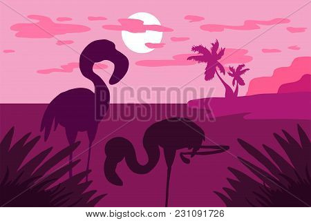 Tropical Landscape With Flamingo, Palms And Sun. Tropics Sunset. Vector