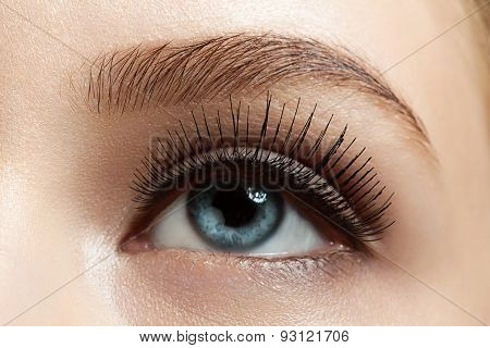 Close-up Of Make-up Eye With Long Eyelashes