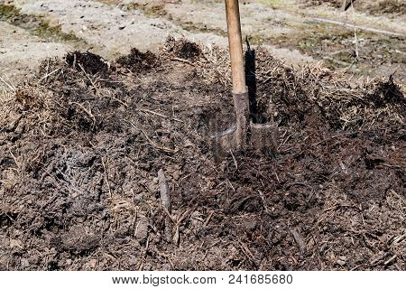 Cow Dung, Manure Rotted Compost Organic Fertilizer For Agriculture