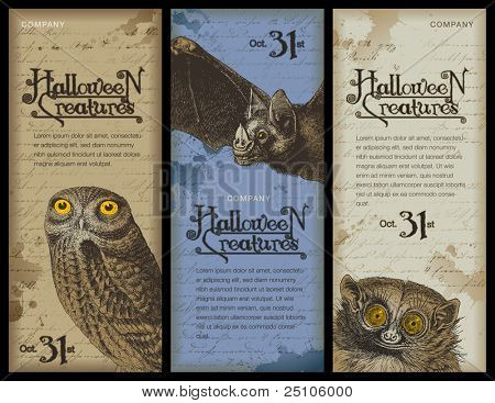 set van drie halloween banners met verschillende nacht dieren