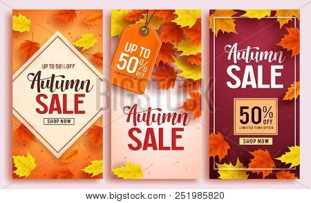 Autumn Sale Vector Poster Design Set With Colorful Maple Leaves Element In Background And Sale Disco