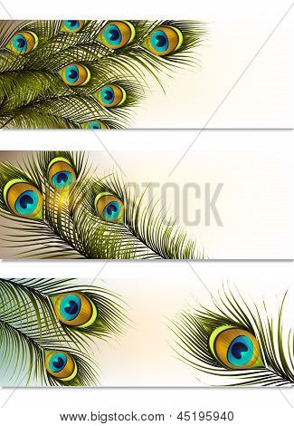 Visitekaartjes Vector Set met Peacock varens