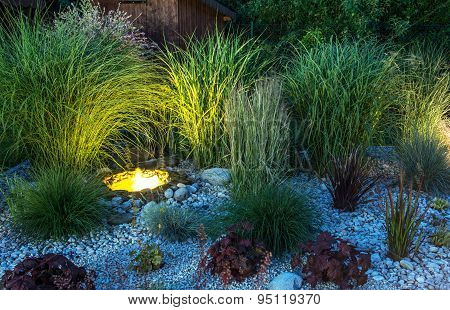 Backyard Garden Illumination