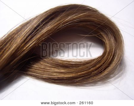 Lock Of Hair