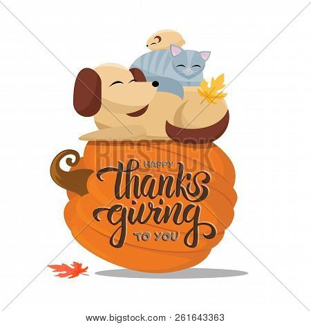 Hand Drawn Happy Thanksgiving To You Typography Poster With Flat Cartoon Vector Illustration Cat Sle